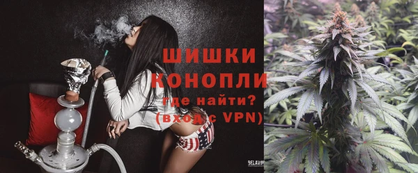 ПСИЛОЦИБИНОВЫЕ ГРИБЫ Баксан