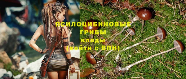 ПСИЛОЦИБИНОВЫЕ ГРИБЫ Баксан