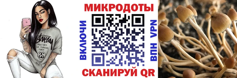 hydra как зайти  Среднеуральск  мориарти наркотические препараты  Галлюциногенные грибы Psilocybe 
